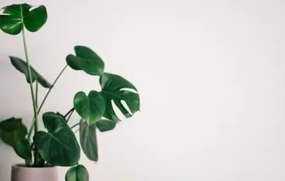 精选热门产品，助力高效决策 - 麻将胡了