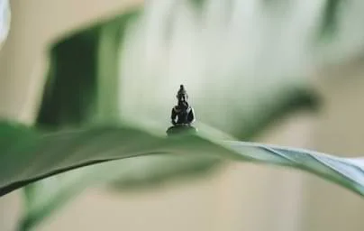 精选热门产品，助力高效决策 - 麻将胡了